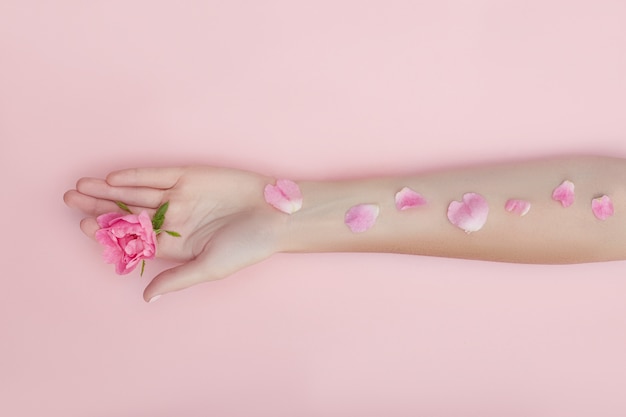 Hand met roze bloemen en bloemblaadjes liggend op een papieren muur, cosmetica voor hand huidverzorging. Natuurlijke bloembladcosmetica, etherische oliën, anti-rimpel en anti-aging handverzorging