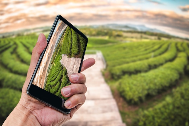 Hand met smartphone landschap aard achtergrond