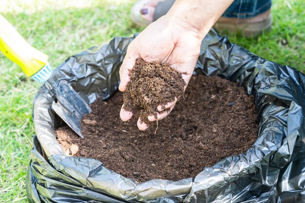 Hand met veenmos organisch materiaal verbetert de bodem voor de landbouw biologische plant groeit ecologie concept