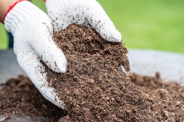 Hand met veenmos organische stof verbeteren bodem voor landbouw biologische plant groeiende ecologie concept