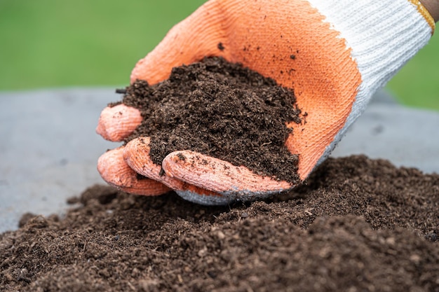 Hand met veenmos organische stof verbeteren bodem voor landbouw biologische plant groeiende ecologie concept