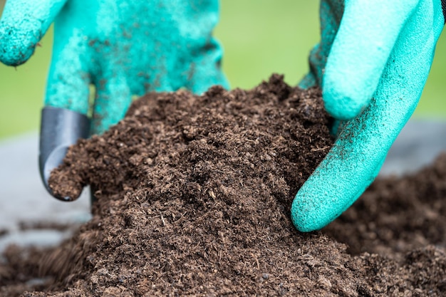 Hand met veenmos organische stof verbeteren bodem voor landbouw biologische plant groeiende ecologie concept