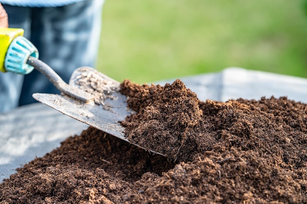 Hand met veenmos organische stof verbeteren bodem voor landbouw biologische plant groeiende ecologie concept