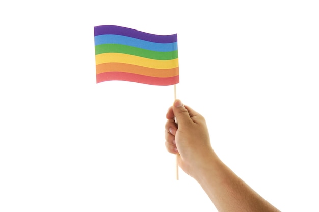 Hand met vlag homo lgbt kleuren