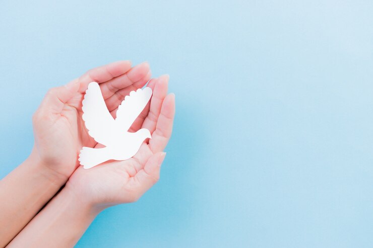 Hand met witte duif vogel op blauw