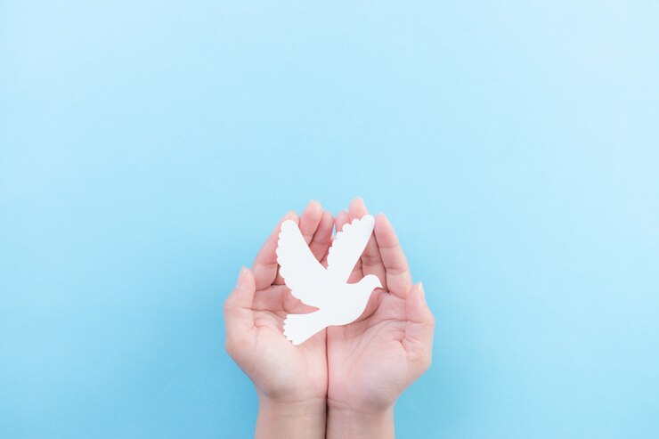 Hand met witte duif vogel op blauw