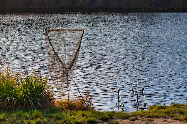 Photo hand net and three fishing rods