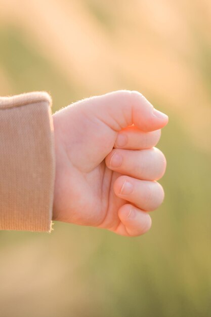 夕日のクローズ アップの光線で生まれたばかりの子供の手