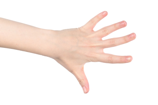 写真 白で隔離の女性の手