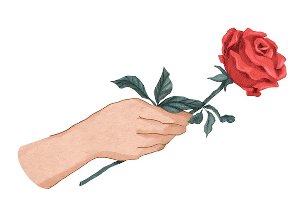 은 장미 를 바치는 손