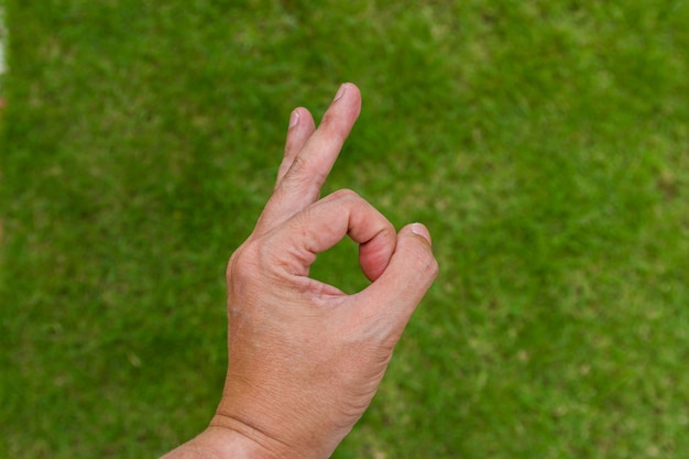 Foto mano nel segno giusto su sfondo verde erba