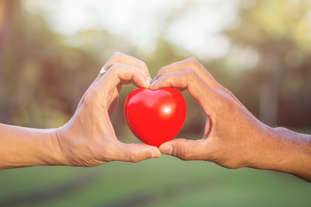 Foto mano dell'uomo anziano che tiene cuore rosso nel parco con il fondo verde del bokeh