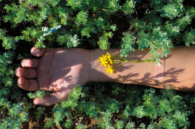 Hand op een groen, met een injectie van een bloem