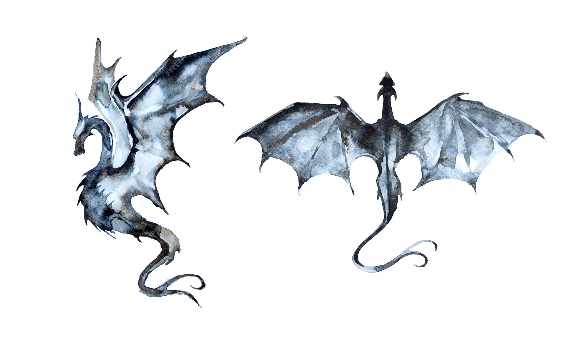 hand-painted-watercolor-dragon-illustration_98401-2.jpg?w=2000