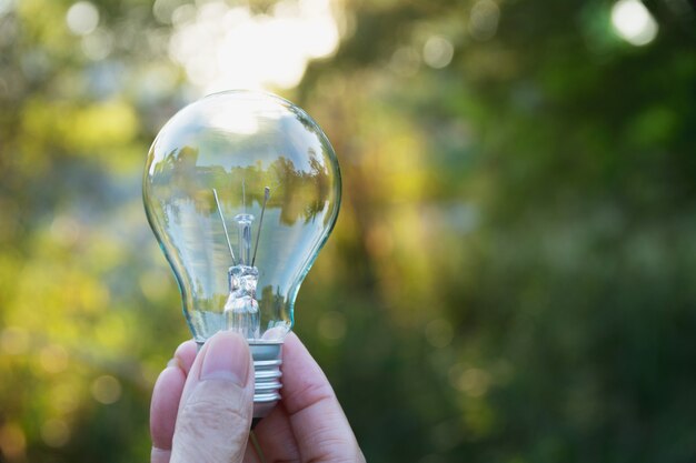 Hand of person holding light bulb for idea or success or solar energy concept.