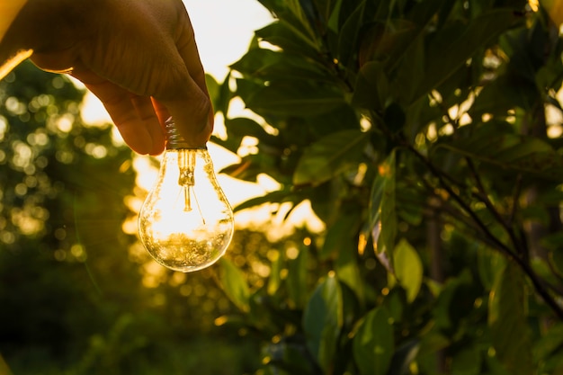 Photo hand of person holding light bulb for idea for success or solar energy