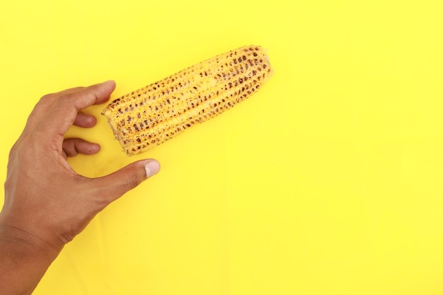 Hand pick a Sweet corns on yellow background