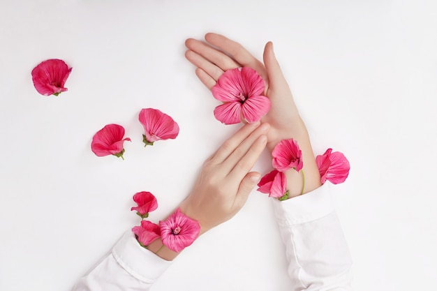 Photo hand and pink flower on table