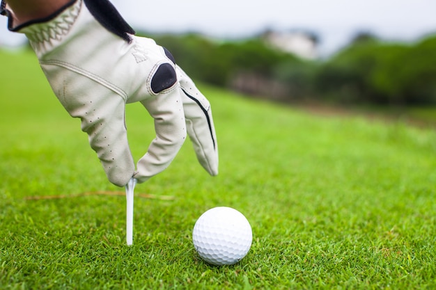 푸른 잔디와 아름다운 골프 코스 위에 티에 골프 공을 배치하는 손