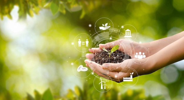 Hand planting trees with technology of renewable resources to reduce pollution esg icon concept in hand for environmental, social and sustainable business governance