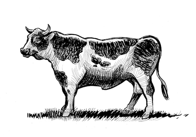 Рука, указывающая на часы, рука, держащая горящую спичку.
