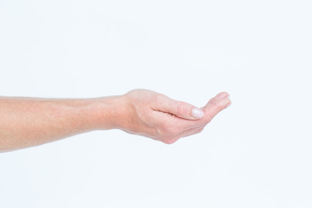 Hand presenting on white background 