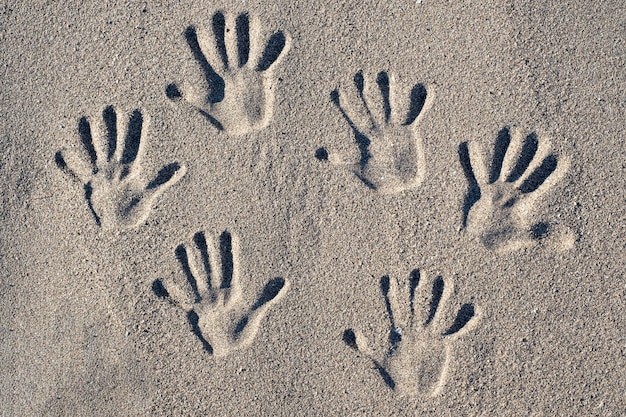 ビーチで砂に刻まれた手形