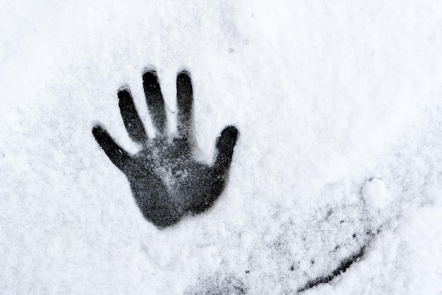 Hand Print in Snow High quality photo