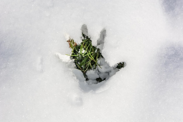 雪の手形