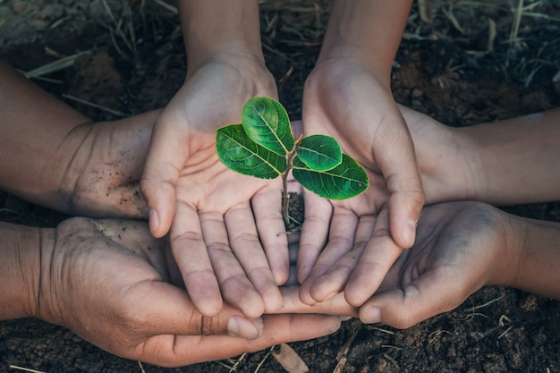 Photo hand protection tree in garden concept save earth