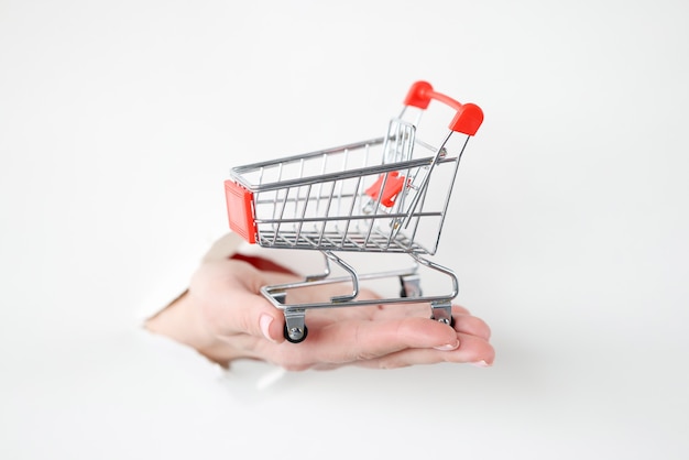 Hand pulling out metal shopping basket from torn paper