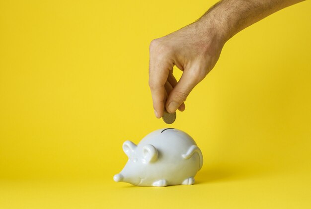 hand puts a coin in a piggy bank mouse