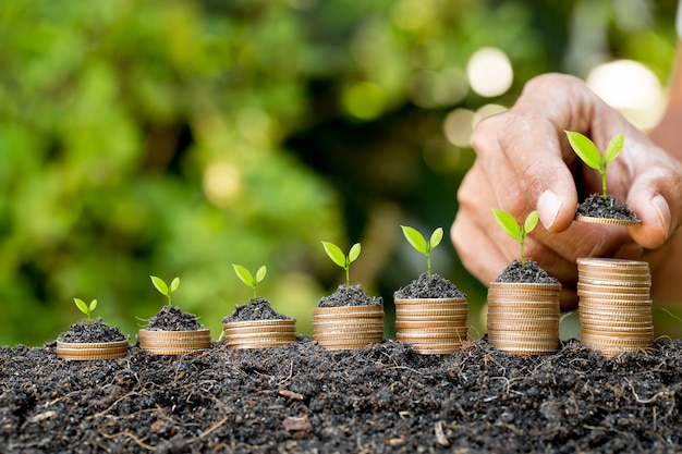 Passi mettere la moneta sul grafico crescente della pila della moneta con il fondo verde del bokeh, il concetto di investimento albero che cresce sulla moneta, finanza di affari e risparmi il concetto dei soldi