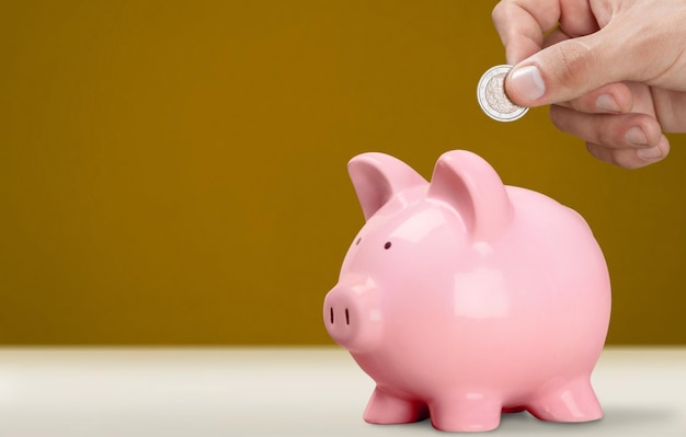 Hand Putting coin in pig moneybox