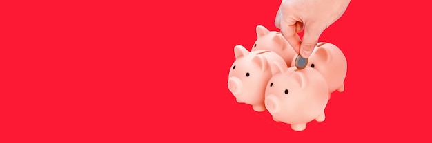 Hand putting coins to piggi bank four pink piggy banks isolated\
on red background