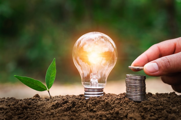 Hand putting coins on stack with lightbulb and young plant growing on soil