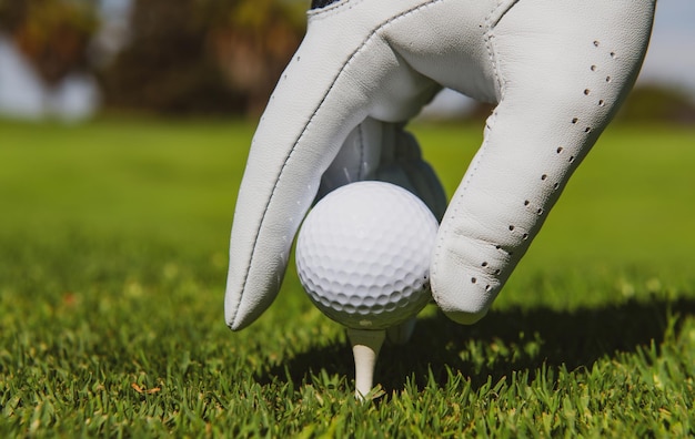 Hand putting golf ball on tee in golf course golf ball in grass
close up