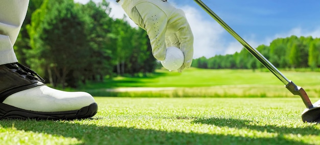 Hand putting golf ball on tee in golf course