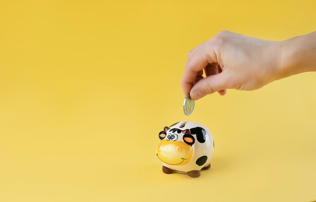 Hand putting two euros coin into a piggy bank in form of a cute cow