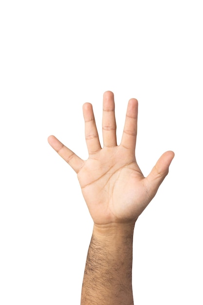 Hand raised up to the air isolated white background. Raise your hand to vote for the majority of votes Election of the leader of the country. With clipping path.