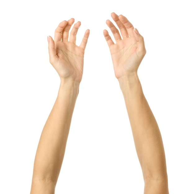 Hand reiken. Vrouw hand gebaren geïsoleerd op wit