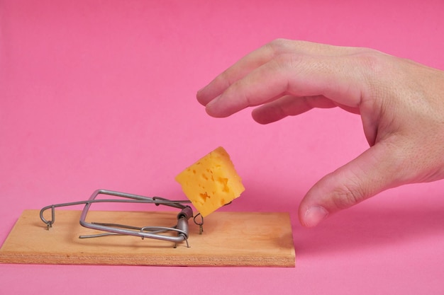 Hand reikt naar stuk kaas in muizenval op een roze achtergrond. Concept business, leven en hard werken en freebies.