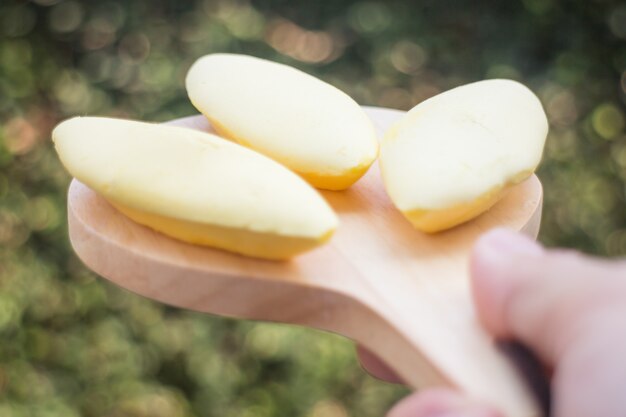 Hand on serving Thai traditional york cookies