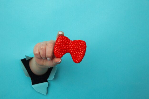 Hand showing a thyroid out of a hole torn in blue paper wall. Health care, pharmaceutics and medicine advertisement