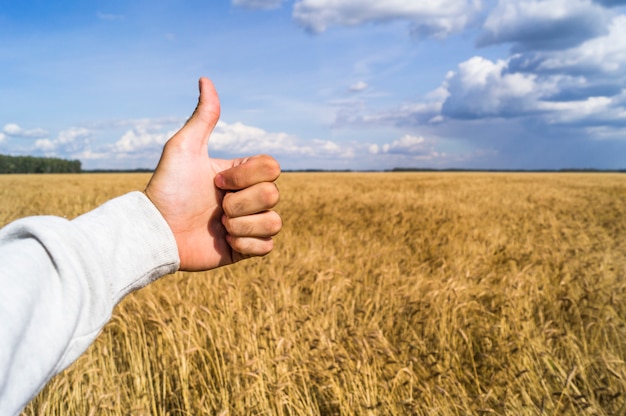 The hand shows the sign like because of a good harvest