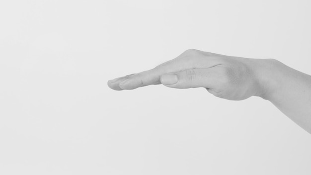 Hand sign pitch or the steady or calm tone on white background The sign of tone in key