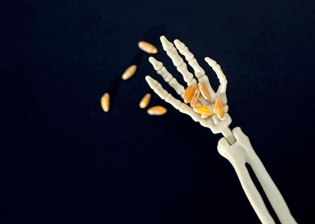 Hand of the skeleton pours grains of wheat food crisis and\
world hunger concept background