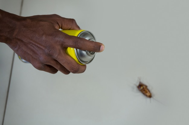 Ручное распыление пестицидов на тараканов