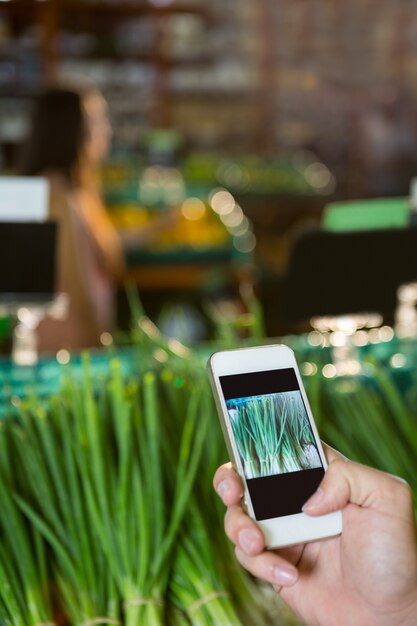 Hand taking a photo of scallions in display in organic section