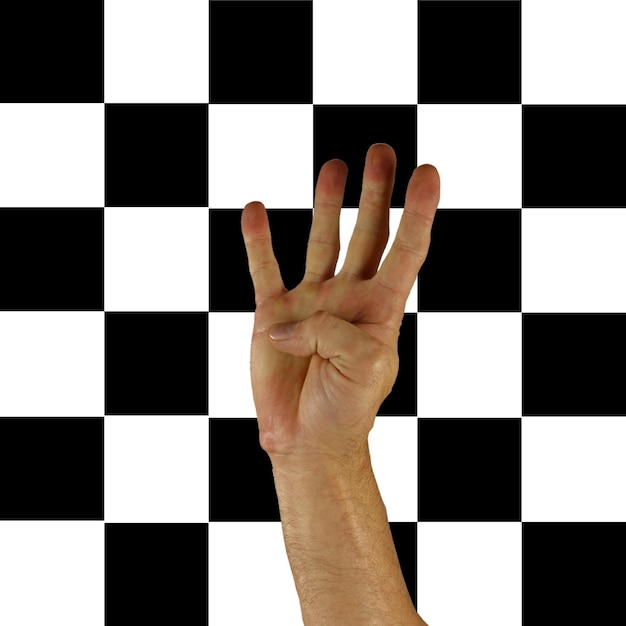 a hand that is in the middle of a checkered pattern